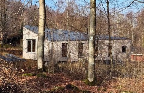 Houtskeletwoning aan de bosrand